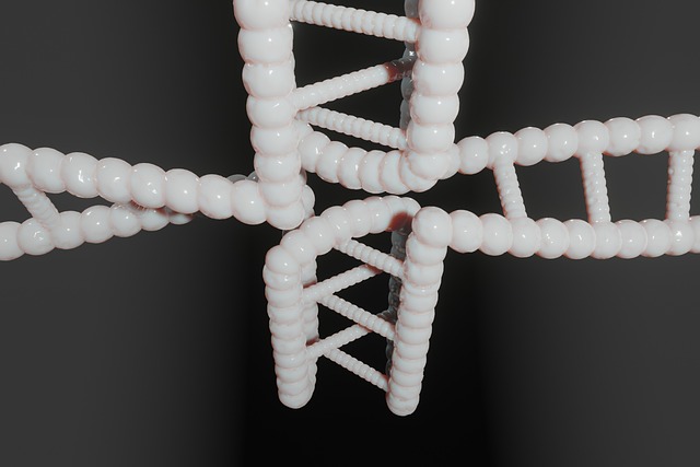 Zrównoważone środowisko pracy z roślinami i notatnikiem