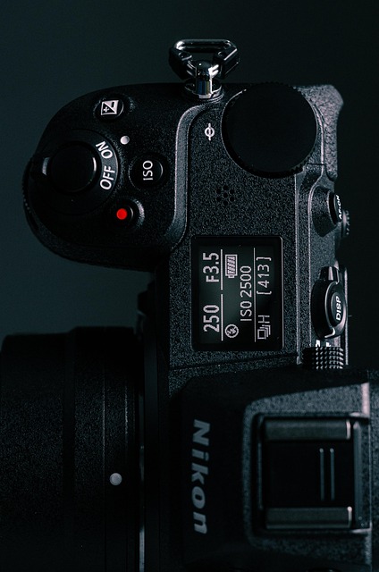 Przestrzeń do pracy z roślinami doniczkowymi, kubkiem herbaty i otwartym zeszytem